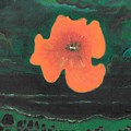 Flower Moon